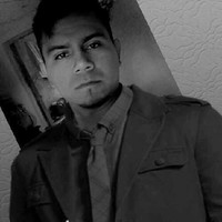 Jose Alfredo Flores Loza