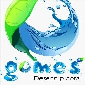 Desentupidora Gomes