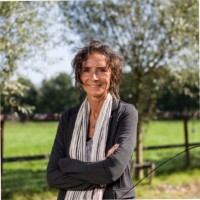 Margreet Knol