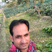 Vinod Kumar Saini