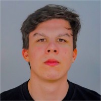 Pedro Henrique Salles-Burton