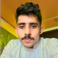 Bibin Binoy