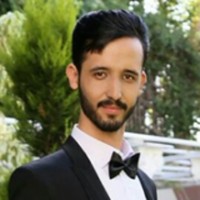 Javad Ameri