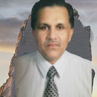 Muhammad Anees