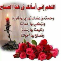 عصام محمود