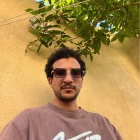 Hamed Alrefay