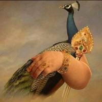 Balaji Jk