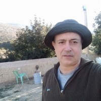 ammar hedi