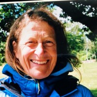 Ann Hall