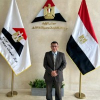walid bahgat