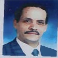 samy abozeid