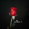 N S cut flower