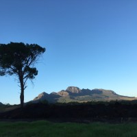 Kobus Bosman