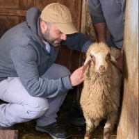 Elias Salem