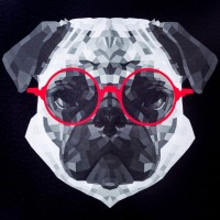 Lumi .
