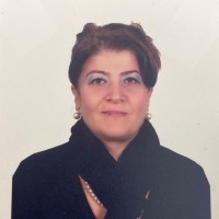 Aynur ŞEN
