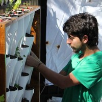 Mauricio Arenas Martínez