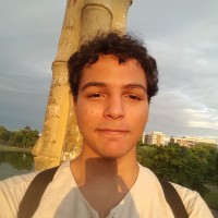 João Pedro Ferreira Alves