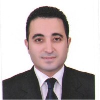 mina masoud