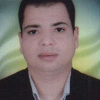 mohamed hassanien