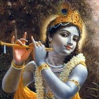 Venkateshwaran R