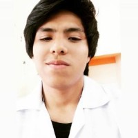 Bryan Huarancca Mendoza