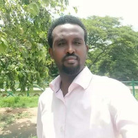 Abdi Hakim F Koshin
