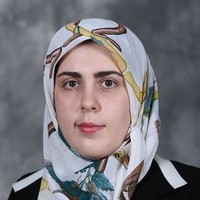 Niloo Parvinashtiani, P.E.