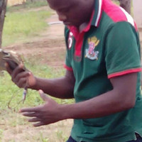Jaiyeola Gabriel Bowale