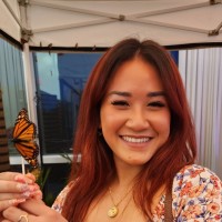 Bao Nguyen
