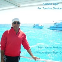 Mohamed Tiger