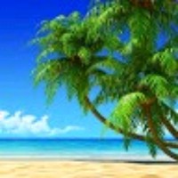 Arun Kumar Pmp®