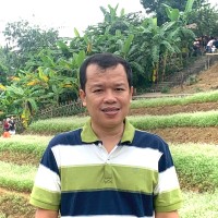 Dai Luu
