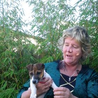 Lynn O'Donoghue