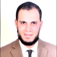 Mohsen Elnegiry