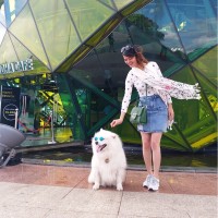 Dung Vo Thi Thuy