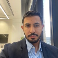 Mohamed Hesham Abdelmotaleb