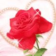 Sharada K