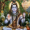 Krishna Priya S B