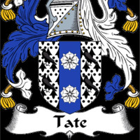 Andrew Tate