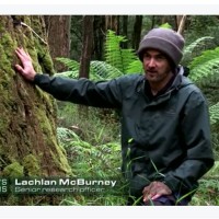 Lachie Mcburney