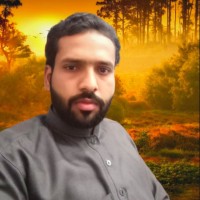 Muhammad Hasnain Janjua