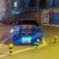 张成中