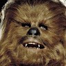 Tyler Baccus