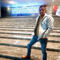 Mohamed Houssam Erafii