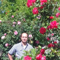 Mehmet Arslan