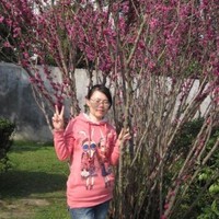 史晓波