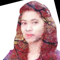 Sadia Moni