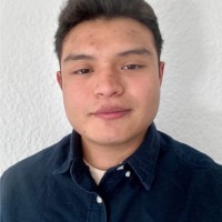 Roberto Carlos Ibañez Torres