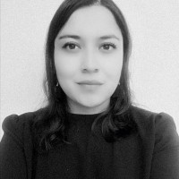 Carmen A. Pérez Téllez